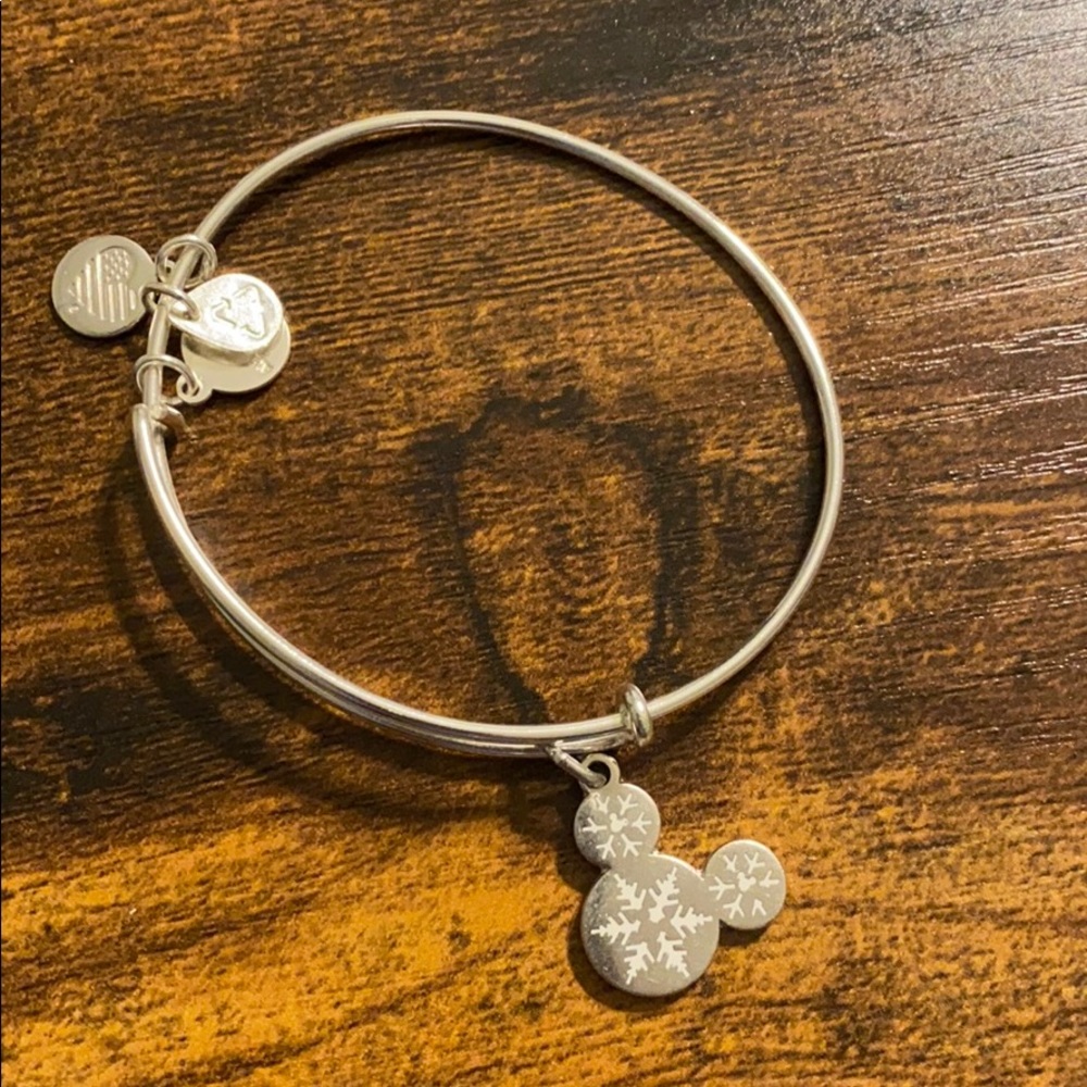 Disney holiday Alex and Ani